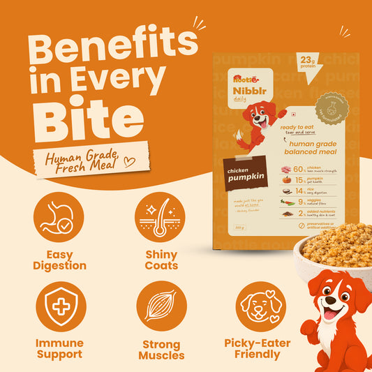 Nibblr Chicken Liver and Pumpkin (300g) - Fresh Wholesome Dog Meal