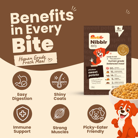 Nibblr Chicken, Sweet Potato & Rice (100g) - Fresh Wholesome Dog Meal