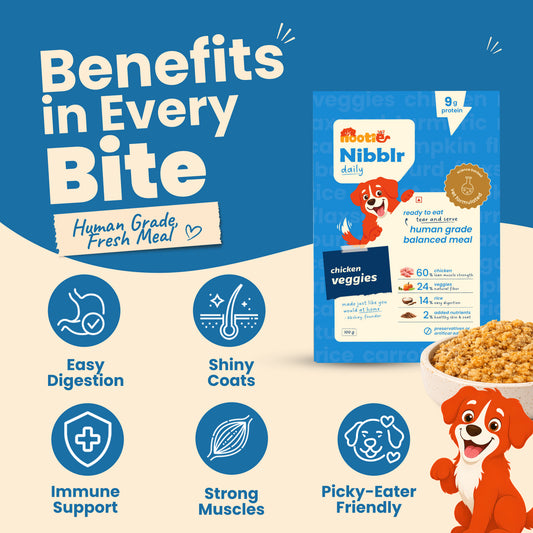 Nibblr Chicken Veggie & Rice (100g) - Fresh Wholesome Dog Meal