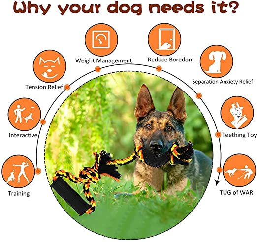 Nootie Durable Dog Chew Toys Pack of 7, Gift Set