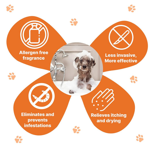 Nootie Skin Protection Sweet Orange Shampoo for Dogs 300 Ml
