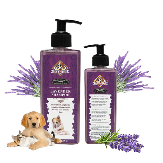 Nootie Coat Whitening Lavender Oil Shampoo 300 Ml For Dogs