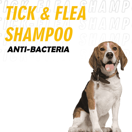 Nootie Tick & Flea Anti Bactieria Shampoo 500 Ml