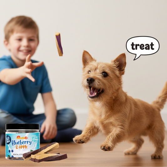 Nootie Gluten-Free Dental Stix for Dogs – Blueberry & Apple Flavour (220g) | Goat Milk Formula for Oral, Gut & Immune Health