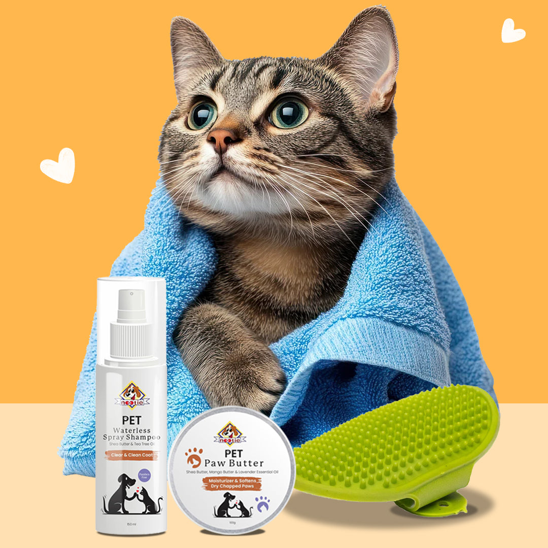 Cat Grooming