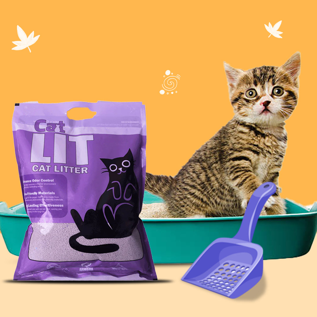 Cat Litter & Litter Trays
