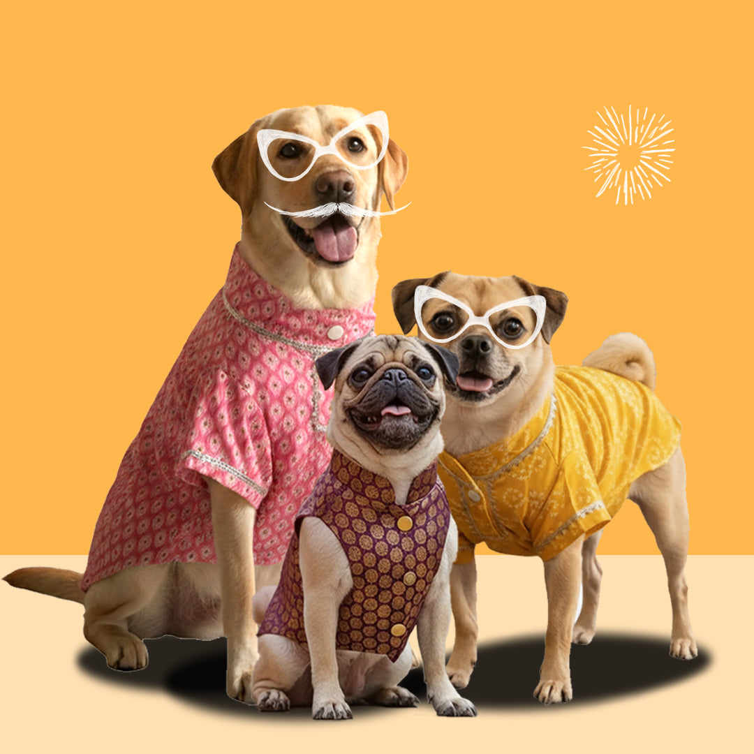 Dog Clothings