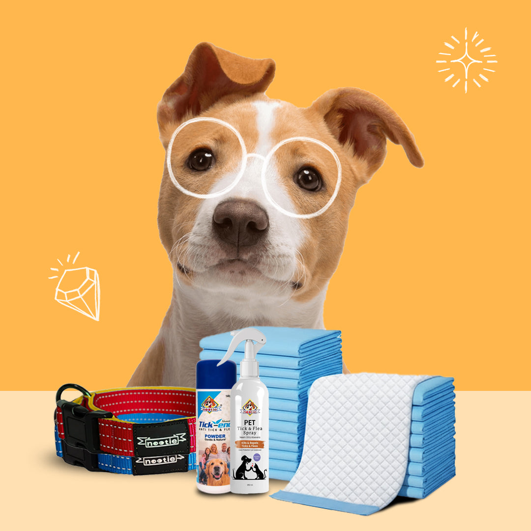 Dog Travel Aids & Carriers