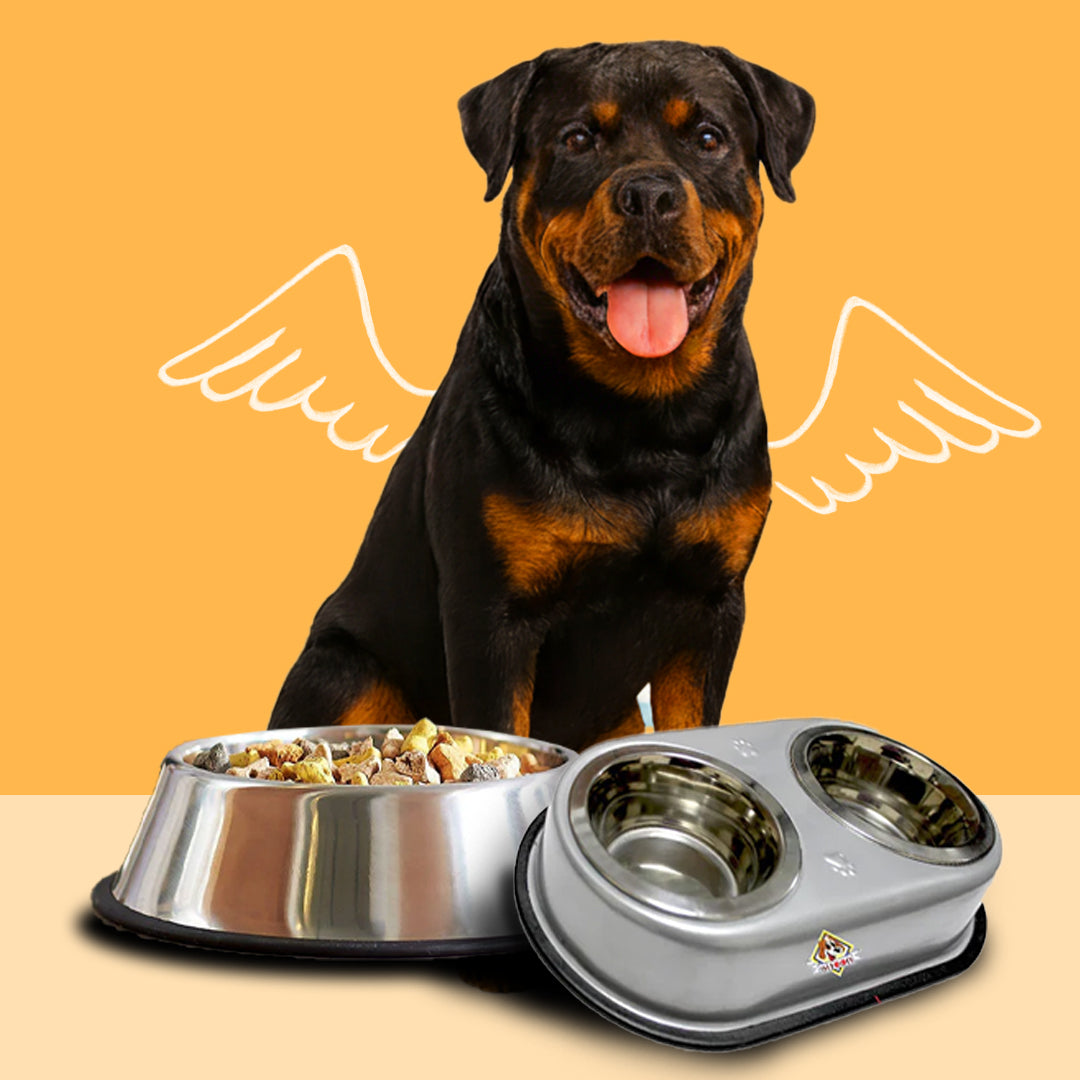 Dog Bowls & Feeders