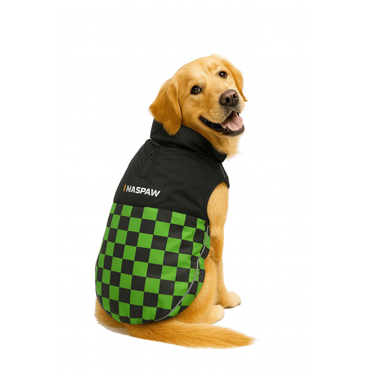 Nootie Dog Winter Jacket – High Neck, Warm & Waterproof Coat for Dogs, Green-Black