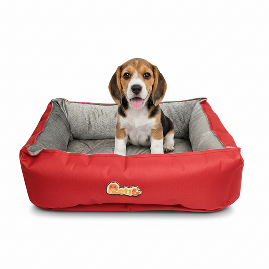 Nootie Sofa Basket Dog & Cat Bed – Small Rectangle Bed (22" x 17" x 6") with Velvet Interior, Mat Exterior, Hollow Fiber Fill | Hand & Machine Washable | Color: Red