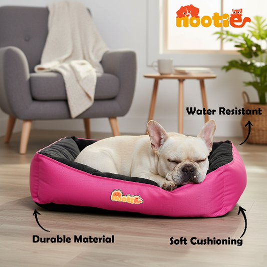 Nootie Sofa Basket Bed for Dogs & Cats – Small (22" x 17" x 6") | Velvet Interior, Mat Exterior, Washable & Scratch-Resistant (Pink)