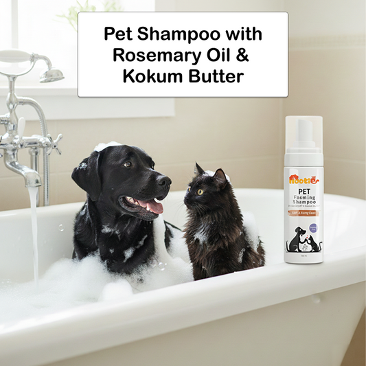 Nootie Pet Foaming Shampoo with Rosemary Oil & Kokum Butter for Dogs & Cats (150 ml) | Soft, Shiny Coat & Gentle Cleansing