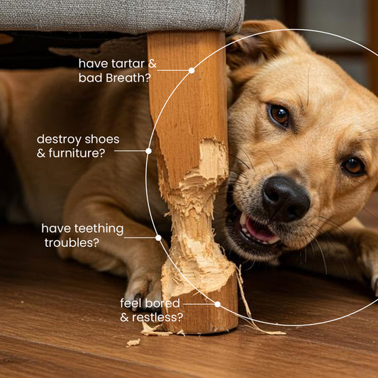 Nootie Happy Chews – Dehydrated Chicken Jerky Dog Treats – 80g