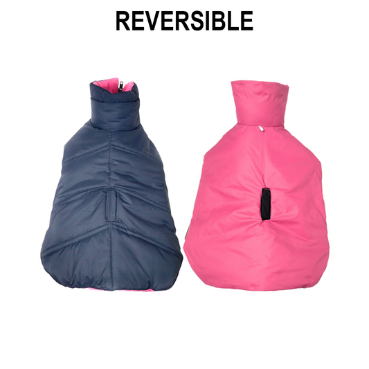 Nootie Reversible Dog Jacket | Blue & Pink | Warm, Lightweight Nylon and Windproof Jacket for Dogs