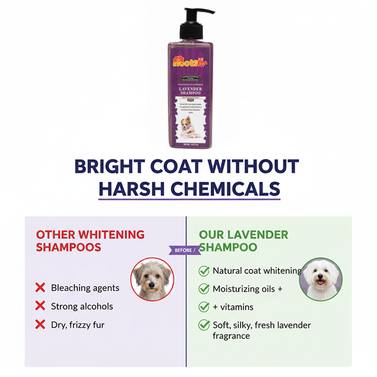 Nootie Coat Whitening Lavender Oil Shampoo for Dogs (300 ml) | Brightening, Anti-Itch & Soothing Essential Oil Formula