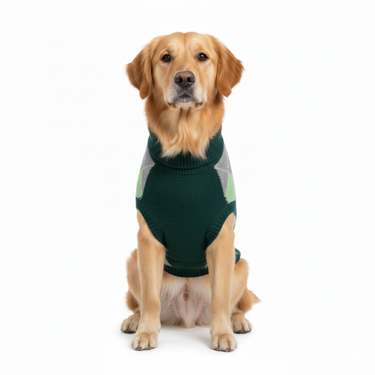 Nootie Dog Sweater, Light Green Check – Stylish Winter Knitwear for All Breeds