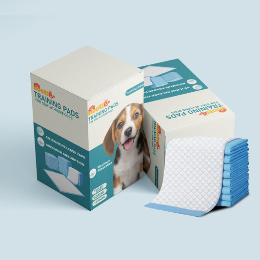 Nootie Training Pads 60 * 45 Size Pack of 10