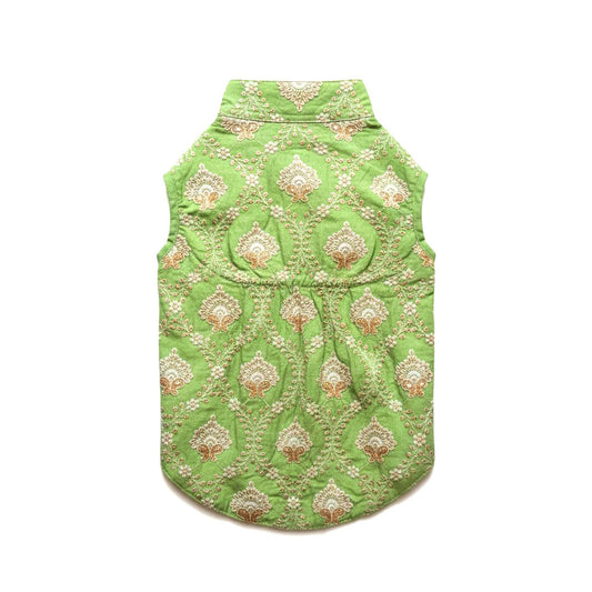 Nootie Festive Sherwani for Dogs – Parrot Green | Traditional Indian Ethnic Wear for Pets