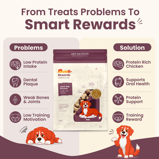 Nootie Rewards - Biscuits Treat for Dogs