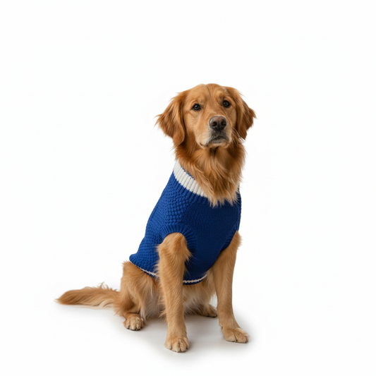 Nootie Dog High Neck Sweater, Blue – Soft, Warm & Lightweight Comfort