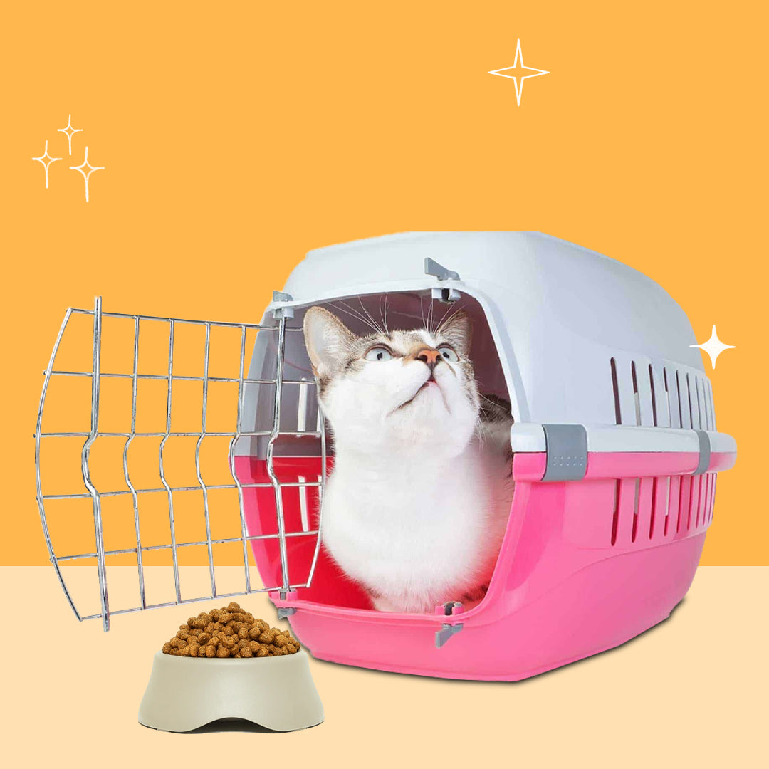 Cat Travel Aids & Carriers