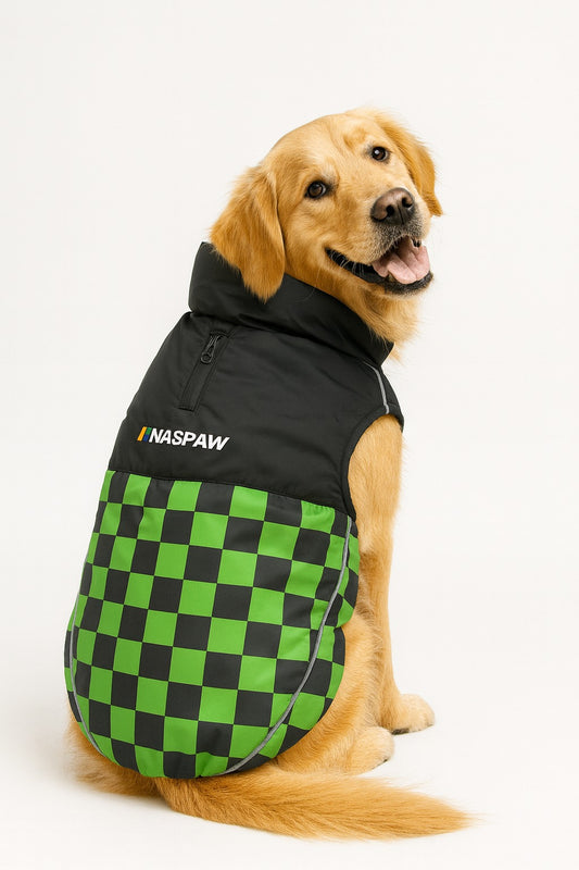Nootie Dog Winter Jacket – High Neck, Warm & Waterproof Coat for Dogs, Green-Black