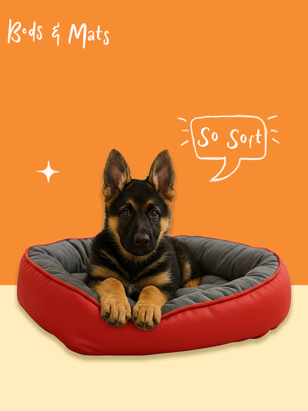 Beds & Mats