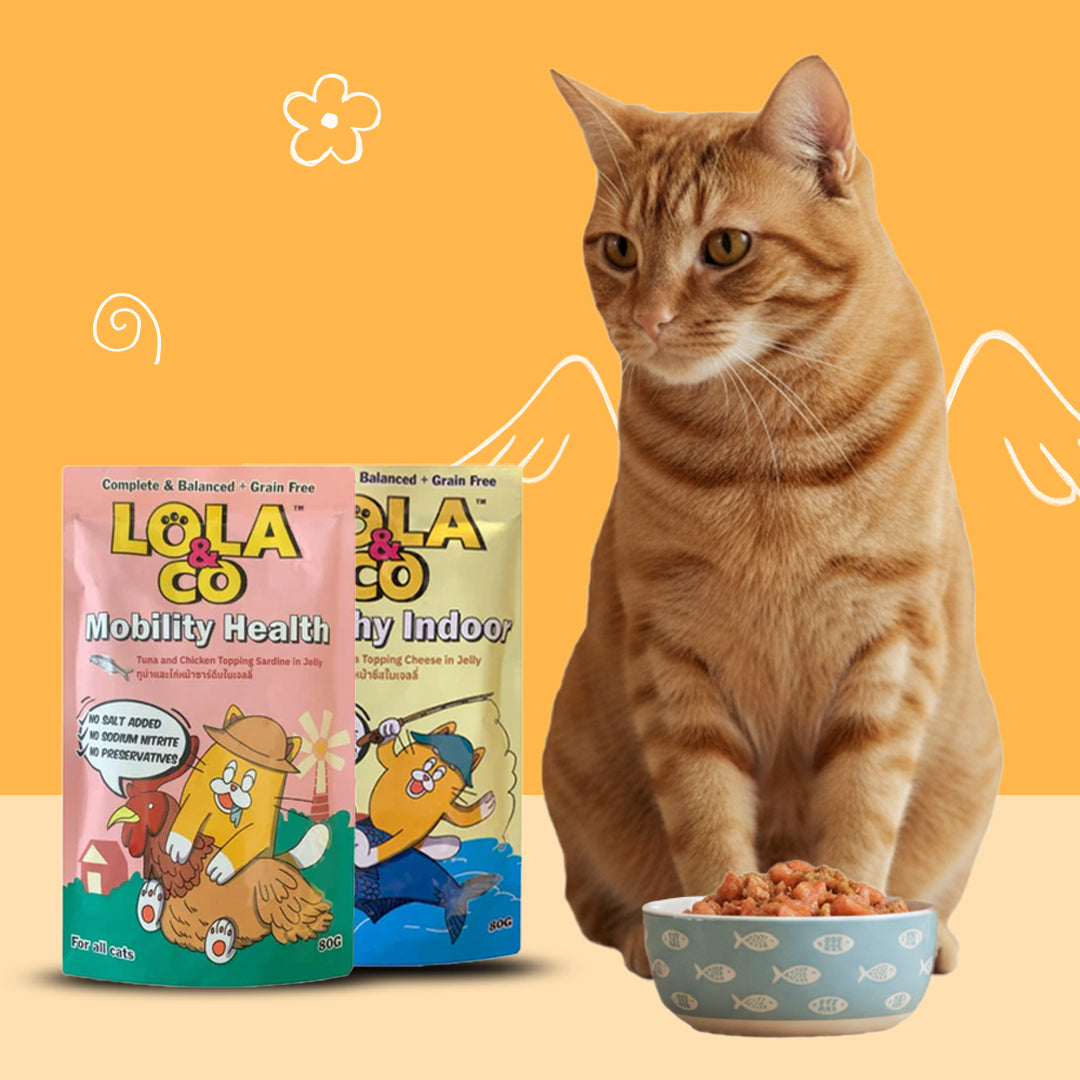 Cat Food