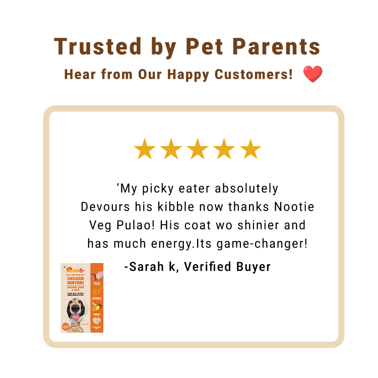 Nootie Chicken Biryani for Dogs - 100g – Human-Grade, Balanced Meal with Real Chicken & Liver (Pack of 3)