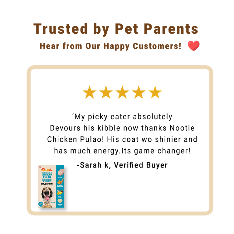 Nootie Chicken Pulao, Veg Pulao and Chicken Biryani for Dogs - 100g - Human-Grade, Balanced Meal with Real Chicken, Rice & Veggies (Pack of 3)
