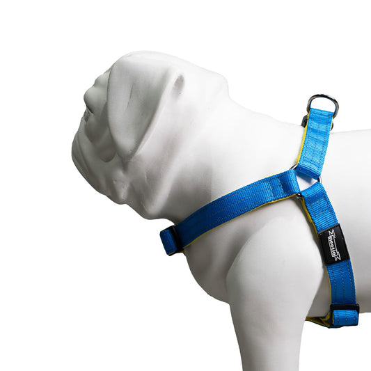 Nootie Premium Plush Padded Harness Blue Color with Yellow Detailing Size 15 mm(S) - For Small Dogs and Puppies