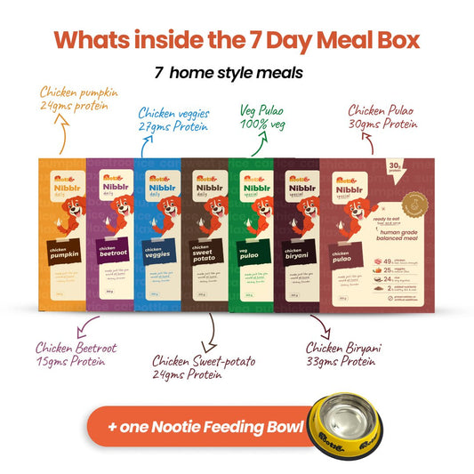 Nibblr 7 - Day Assorted Weekly Wholesome Meal Box (7 Meals 300gm packs + Free Yellow Bowl) - nootie.in