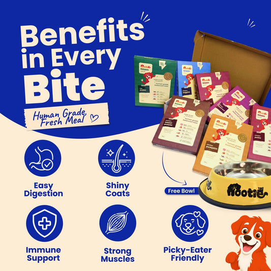Nibblr 7-Day Assorted Weekly Wholesome Meal Box (7 Meals 300gm packs + Free Yellow Bowl) - nootie.in