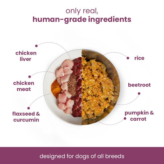 Nibblr Daily Chicken Liver, Beetroot & Rice (300g) - Fresh Wholesome Dog Meal - nootie.in