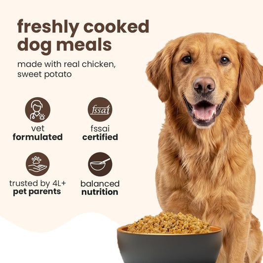Nibblr Daily Chicken, Sweet Potato & Rice (300g) - Fresh Wholesome Dog Meal - nootie.in