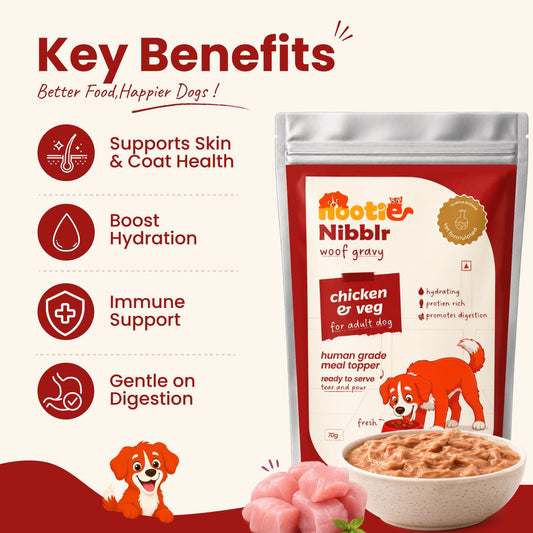 Nibblr Gravies - Meal Toppers for Dogs (Wet Food) - nootie.in