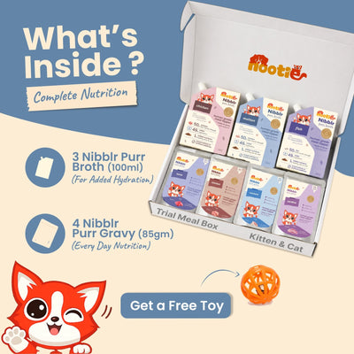 Nibblr Purr Gravies, Broths and a Toy Trial Combo Meal Box for Cats (Assorted Pack of 7) | Human-Grade Hydration & Meal Topper Variety Pack - nootie.in