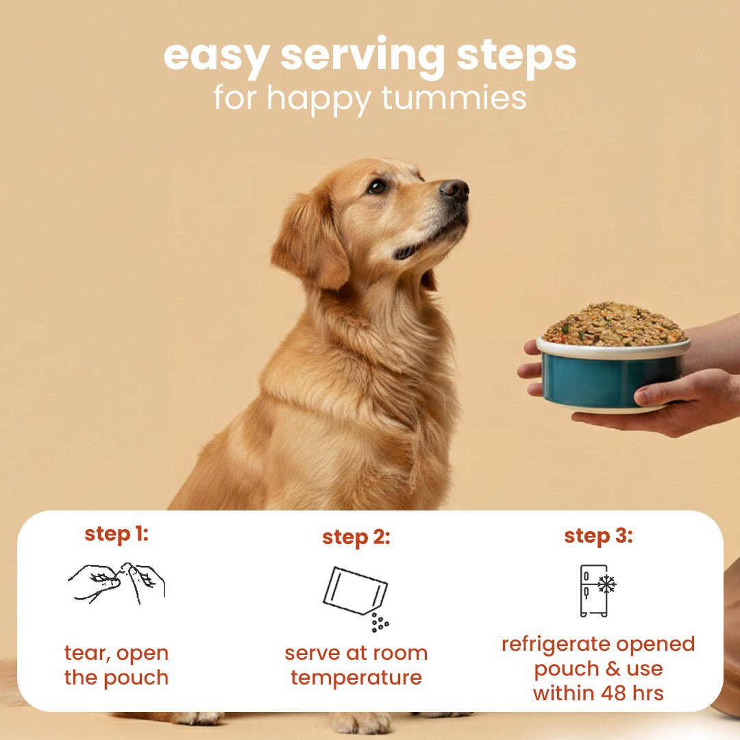 Nootie 7-Day Weekly Dog Meal Plan - Meal Box for Dogs