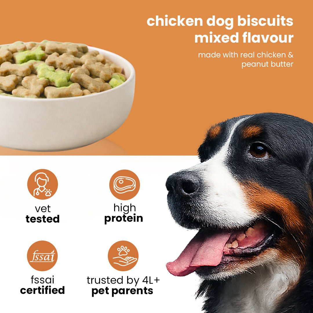 Nootie Chicken Adult Dog Treats (900g)