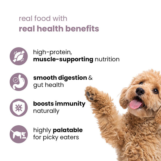 Nootie Chicken Paste for Puppies (70g) - High - Protein Growth Formula & Easy Digest Energy Food - nootie.in