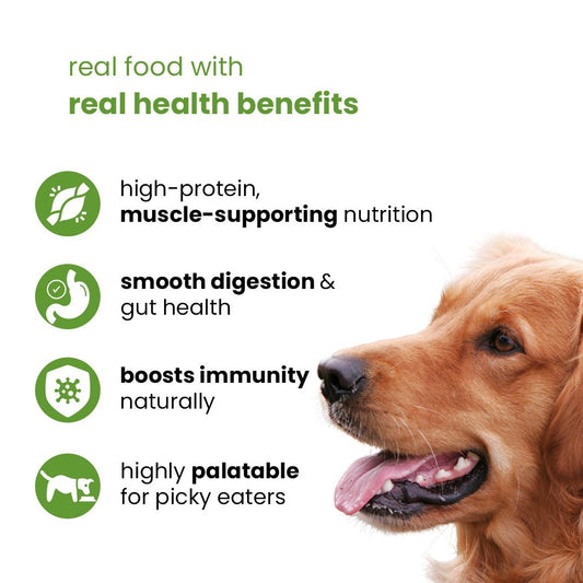 Nootie Chicken & Veg Dog Food Gravy | High - Protein, Fiber - Rich & Digestive Support (70g) - nootie.in