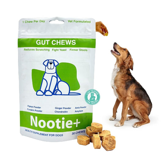 Nootie+ Probiotic Gut Chews for Dogs - Probiotics for Dogs