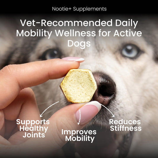 Nootie+ Health Chews for Dogs (30 chews) | Joint Support & Mobility - Joint Support, Pain Relief & Anti-Inflammation - nootie.in