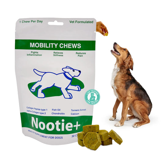 Nootie+ Joint Support for Dogs