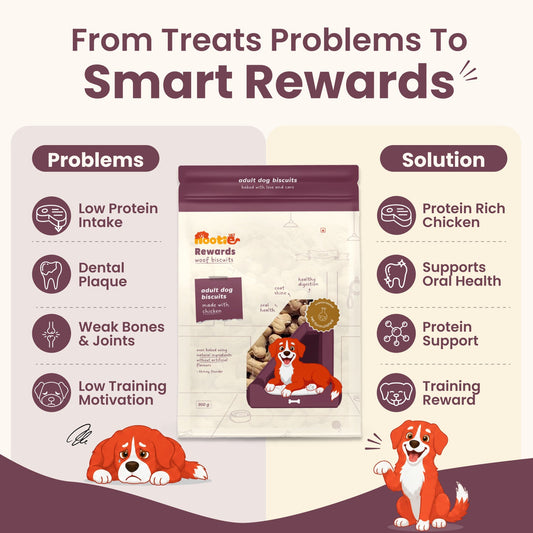 Nootie Rewards - Biscuits Treat for Dogs - nootie.in