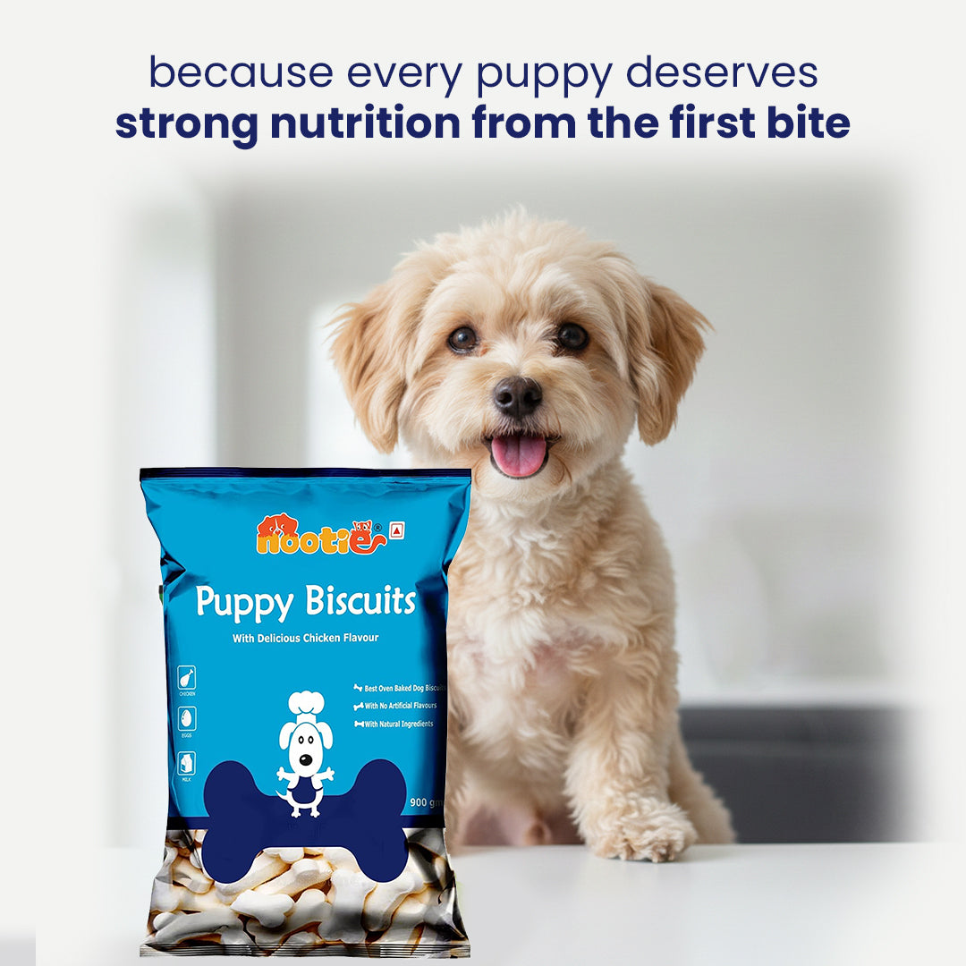 Nootie Chicken Biscuits with Milk and Cheese Flavour for Puppies (900g) | High-Protein, Crunchy Growth Snack