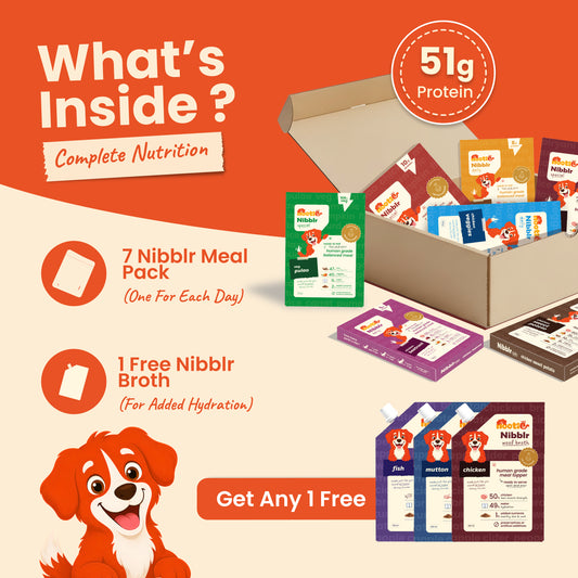 Nibblr 7-Day Assorted Trial Meal Box (7 Meals 100gm packs + Free Broth)