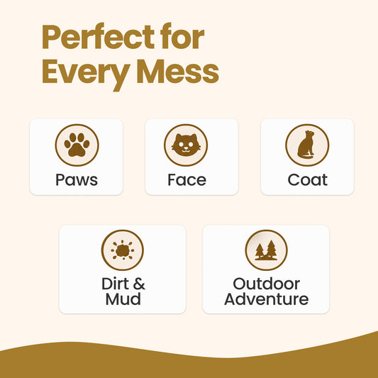 Nootie Dirty Kittie Purr Wipes (50 Wipes) | Alcohol-Free Cat Grooming & Deodorizing Wipes with Aloe & Neem