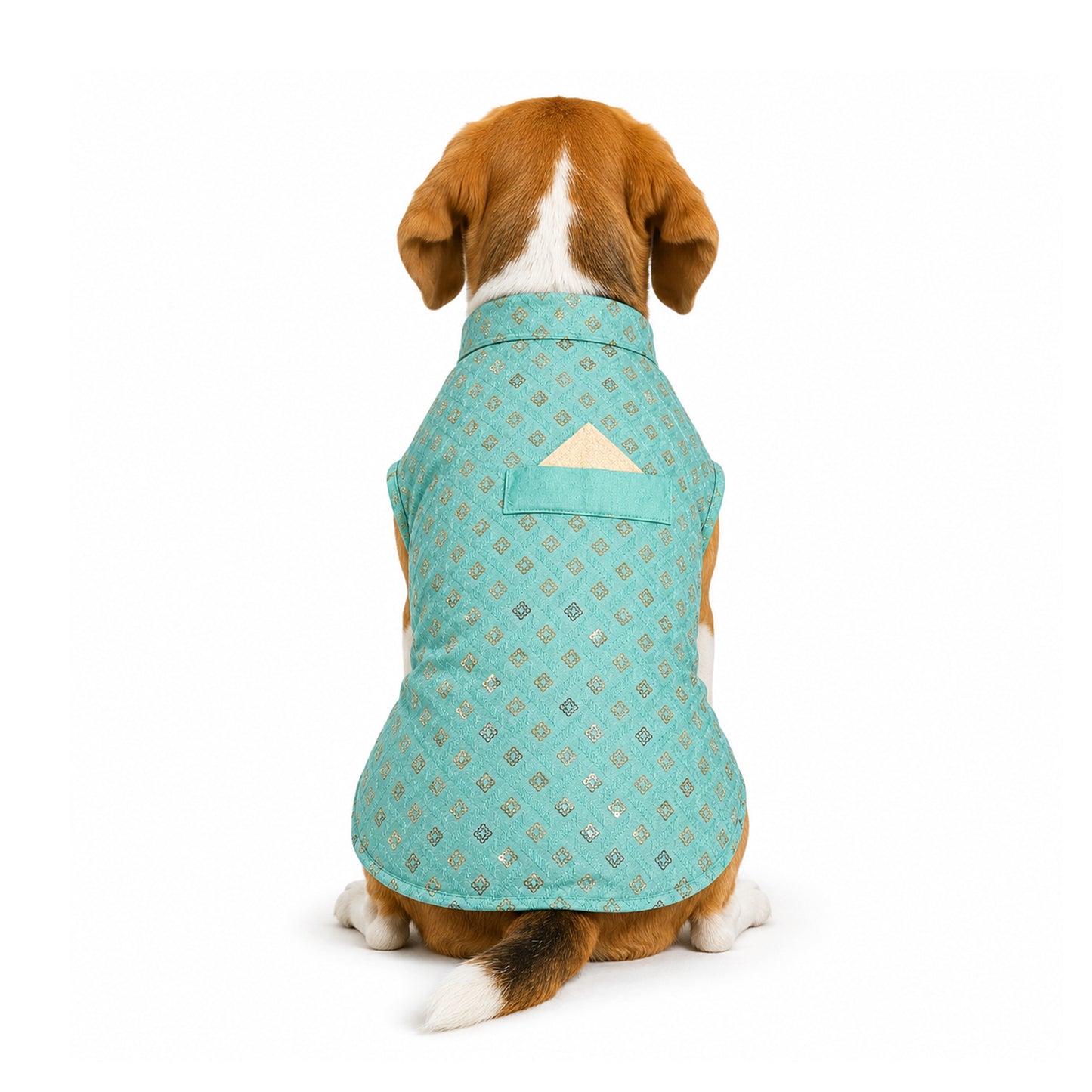 Nootie Dog Kurta - Light Teal Blue Brocade | Traditional Ethnic Outfit for Weddings, Festivals and Celebrations
